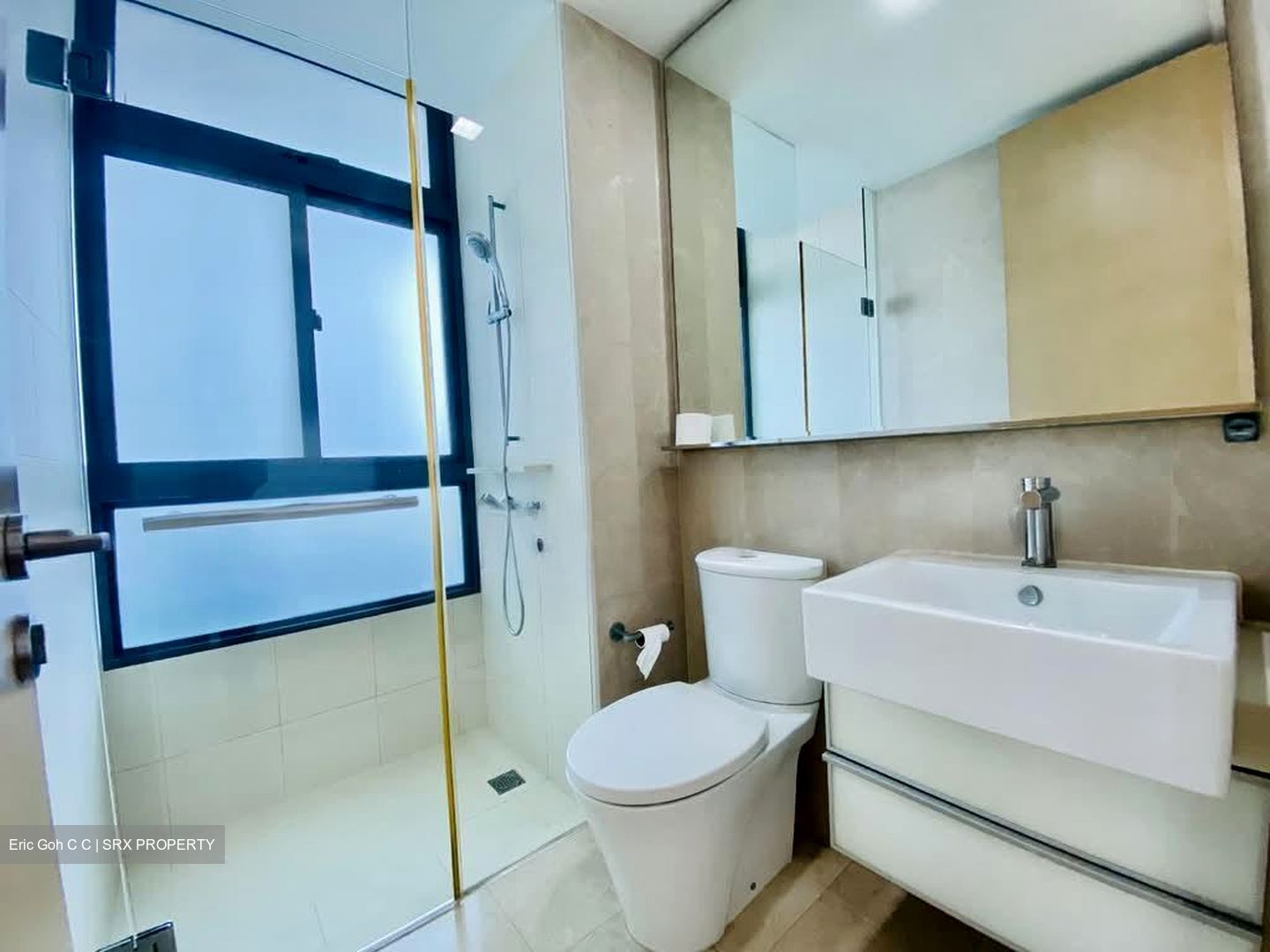 RiverGate (D9), Apartment #558657691